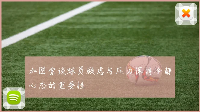 加图索谈球员顾虑与压力保持冷静心态的重要性